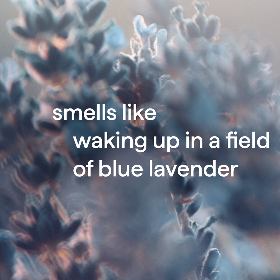body wash